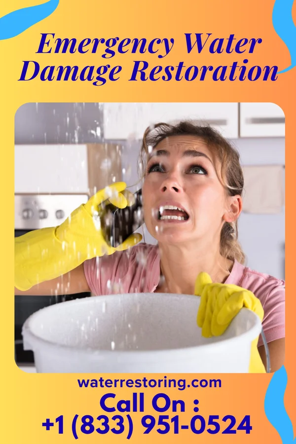 Emergency Water Damage Restoration in Bailey's Crossroads, VA
