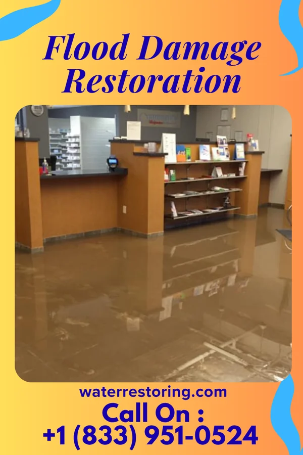 Flood Damage Restoration in Bailey's Crossroads, VA
