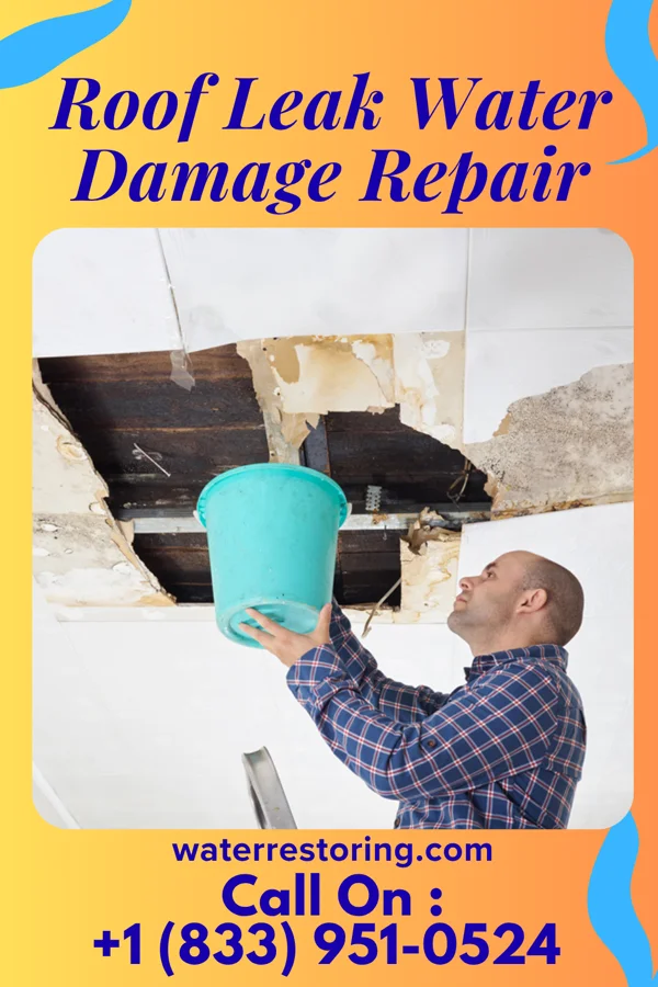 Roof Leak Water Damage Repair in Bailey's Crossroads, VA