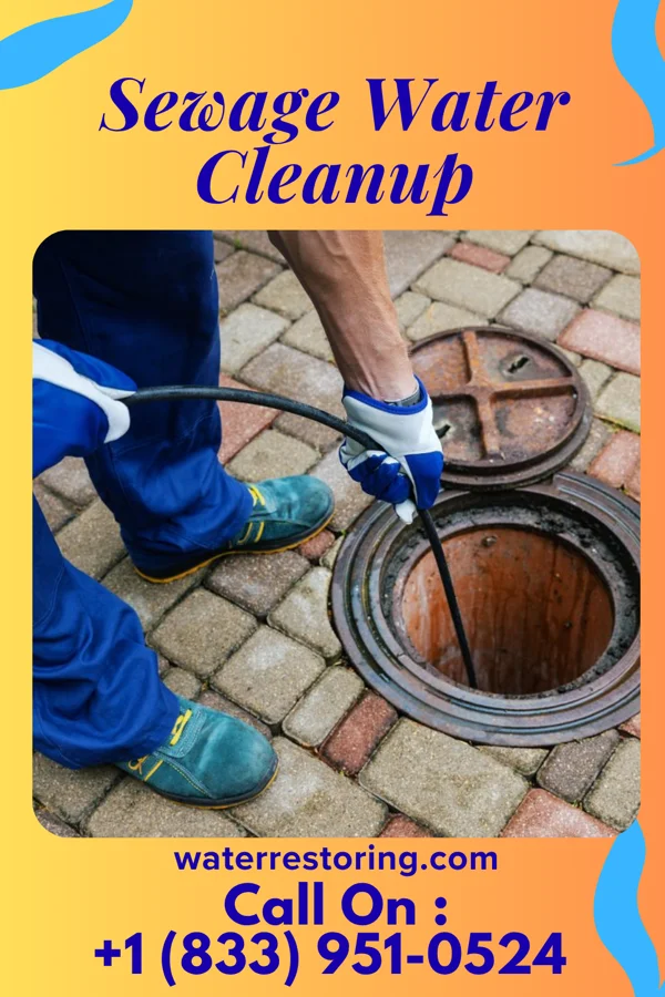Sewage Water Cleanup in Bailey's Crossroads, VA