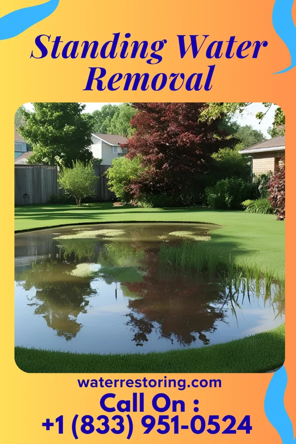Standing Water Removal in Bailey's Crossroads, VA